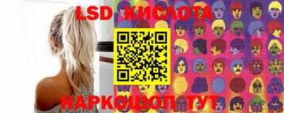 PSILOCYBIN Будённовск