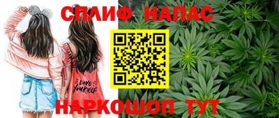 PSILOCYBIN Будённовск