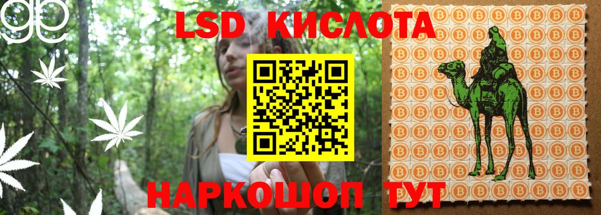 Наркотические марки 1500мкг Славгород