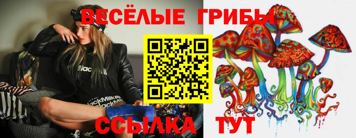 Галлюциногенные грибы мицелий  Вход с VPN  Славгород 
