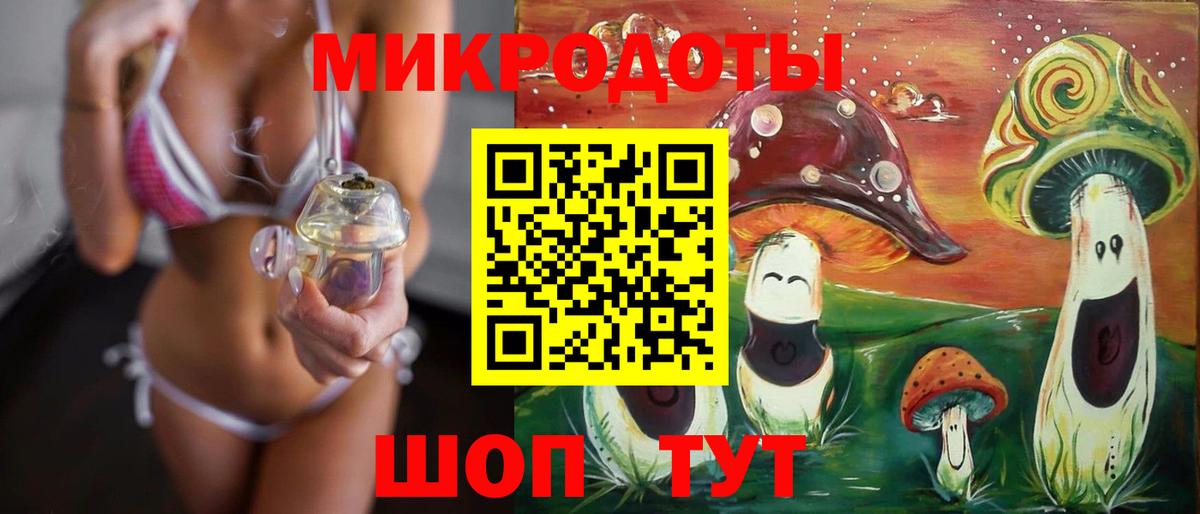 Галлюциногенные грибы Cubensis Славгород